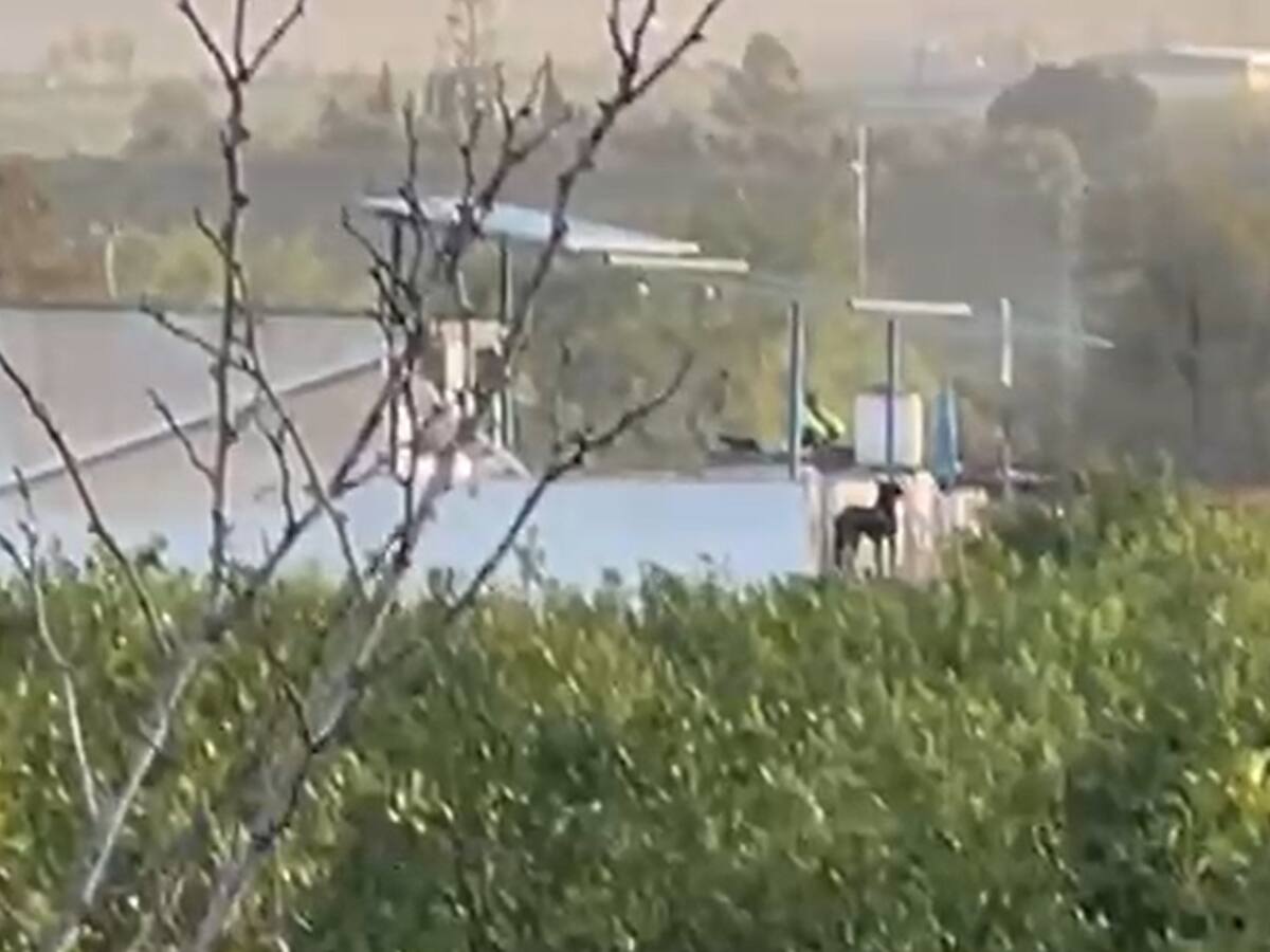 Rescatado un hombre atrapado en un tejado de Cártama por la crecida del río Guadalhorce