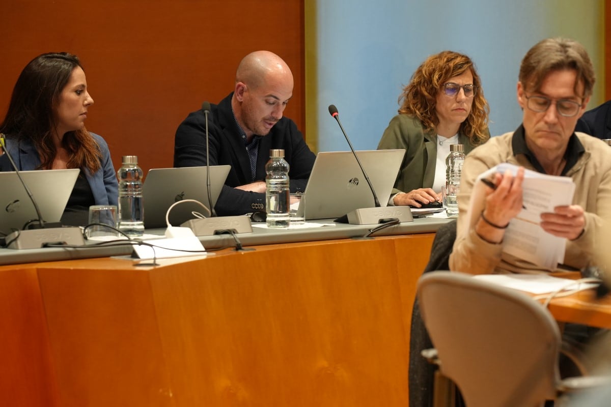 Escalona en el ple municipal