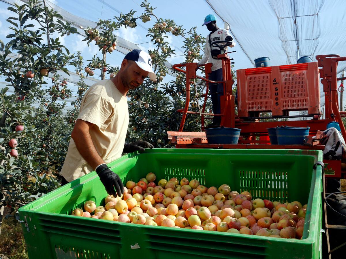 La demarcació de Lleida és l'única que creix en exportacions al juny amb un 8,1%