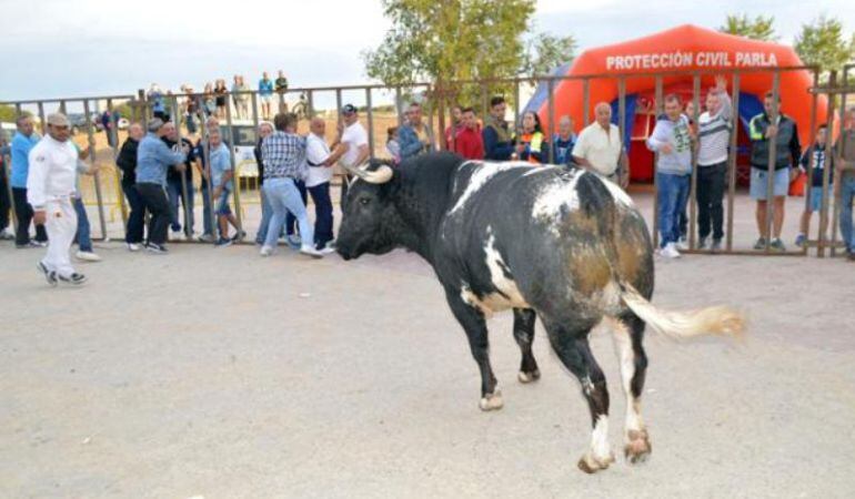 Los festejos taurinos de Parla son unos de los más tradicionales de la región