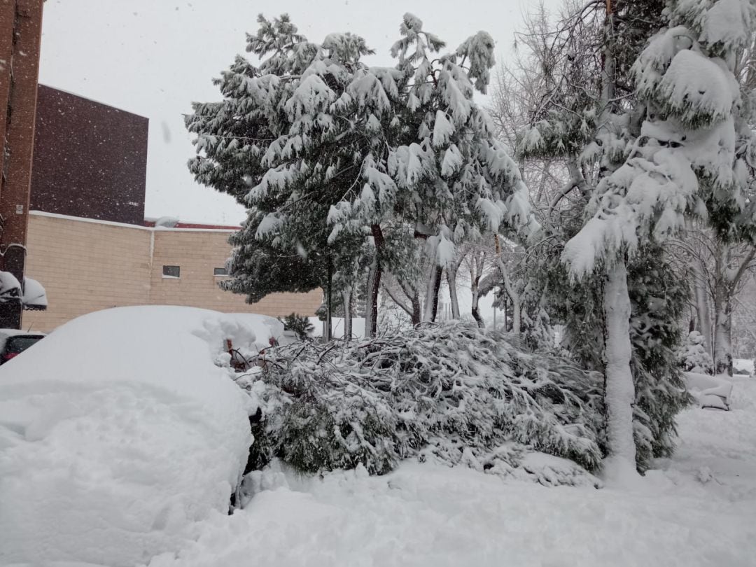 Lo que queda detrás de Filomena: las historias de los vecinos tras una nevada histórica