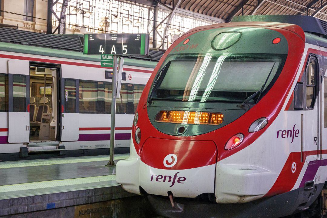 Varios trenes parados en la Estación del Norte de València. 