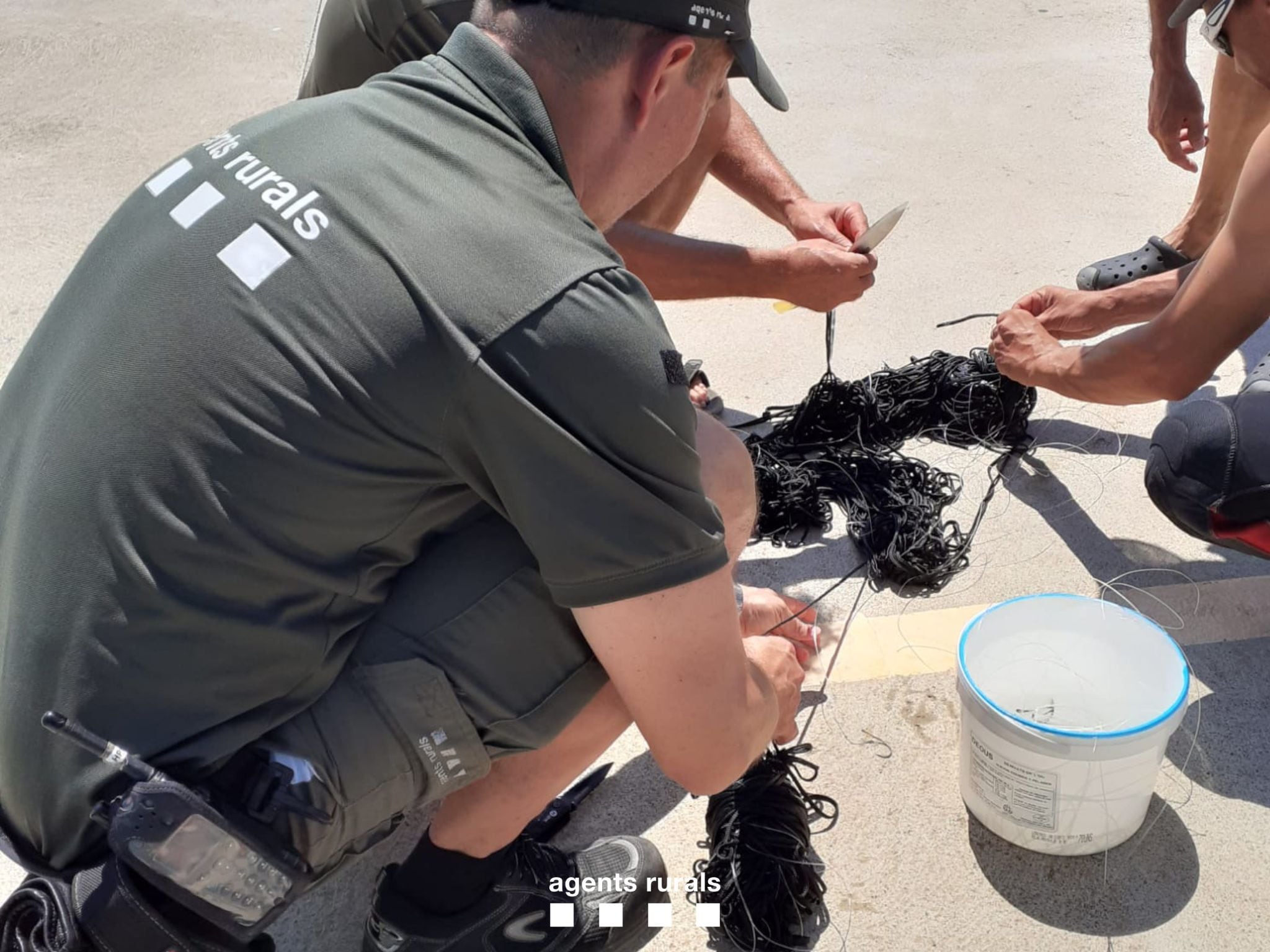 Agents Rurals analitzant el fil del palangre localitzat a les Medes.