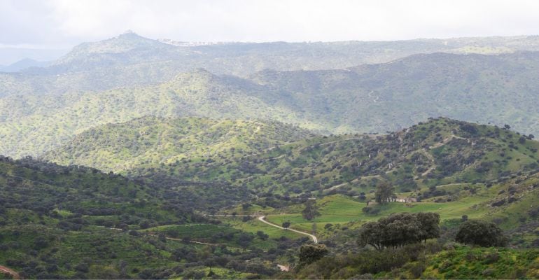 Sierra de Andújar.