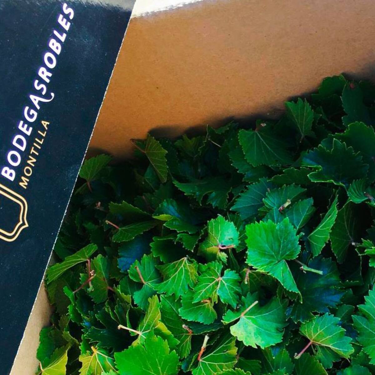 Las hojas de vid se comen en Noor