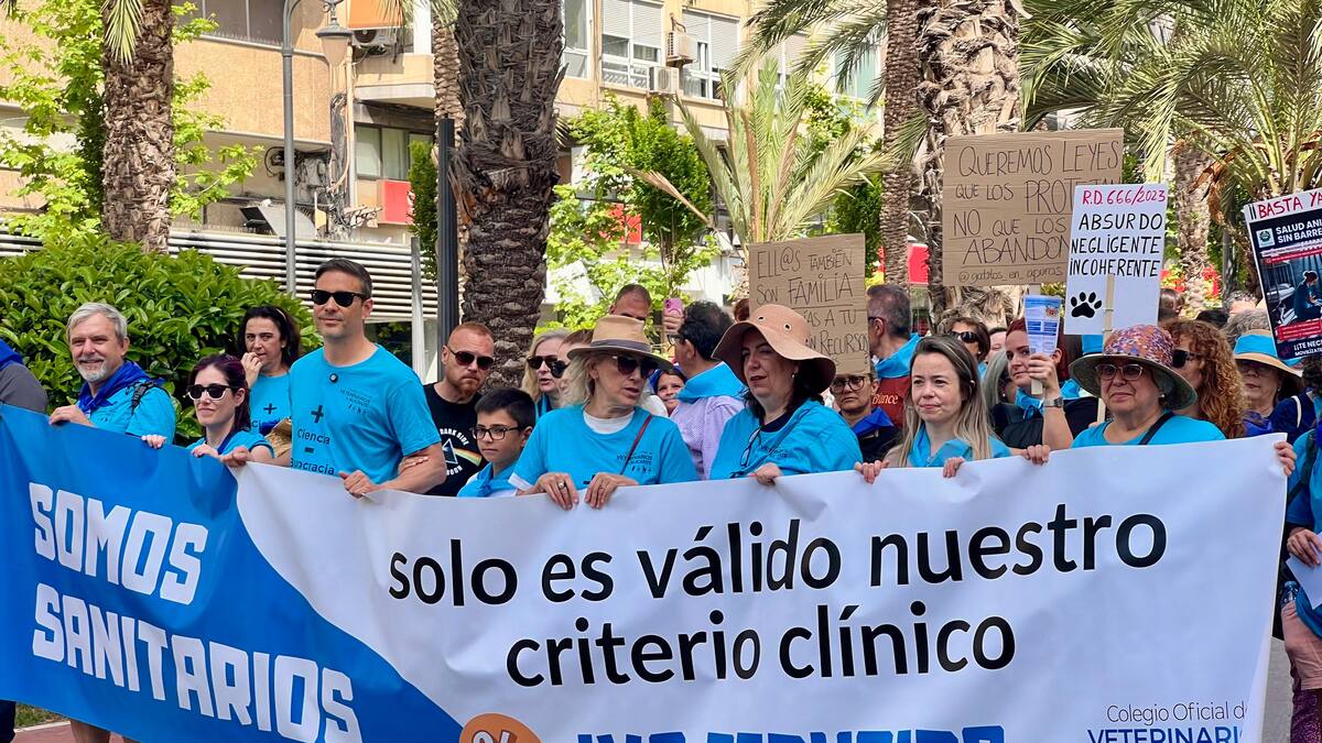 Gonzalo Moreno, presidente del Colegio de Veterinarios de Alicante, sobre la manifestación en Alicante contra la regulación del medicamento veterinario