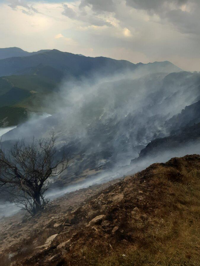 Imagen del incendio