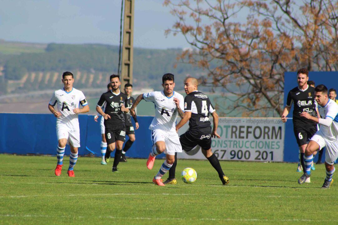 El Arcos CF empató ante el Antoniano en el Barbadillo