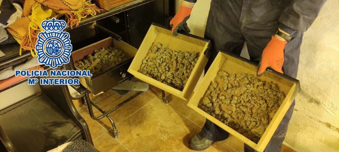 Imagen de los registros