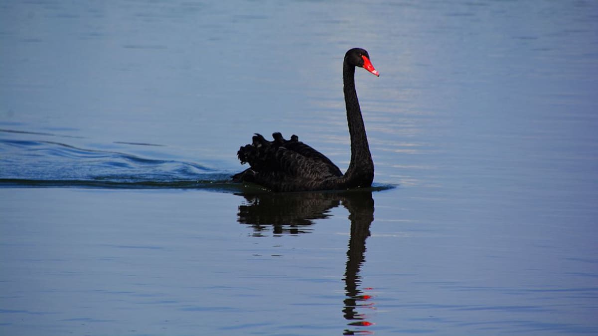 Macarena Florencio 21/04/2021