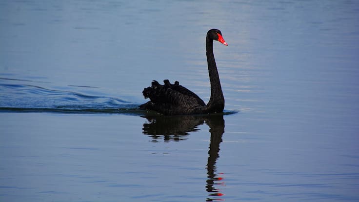 Macarena Florencio 21/04/2021
