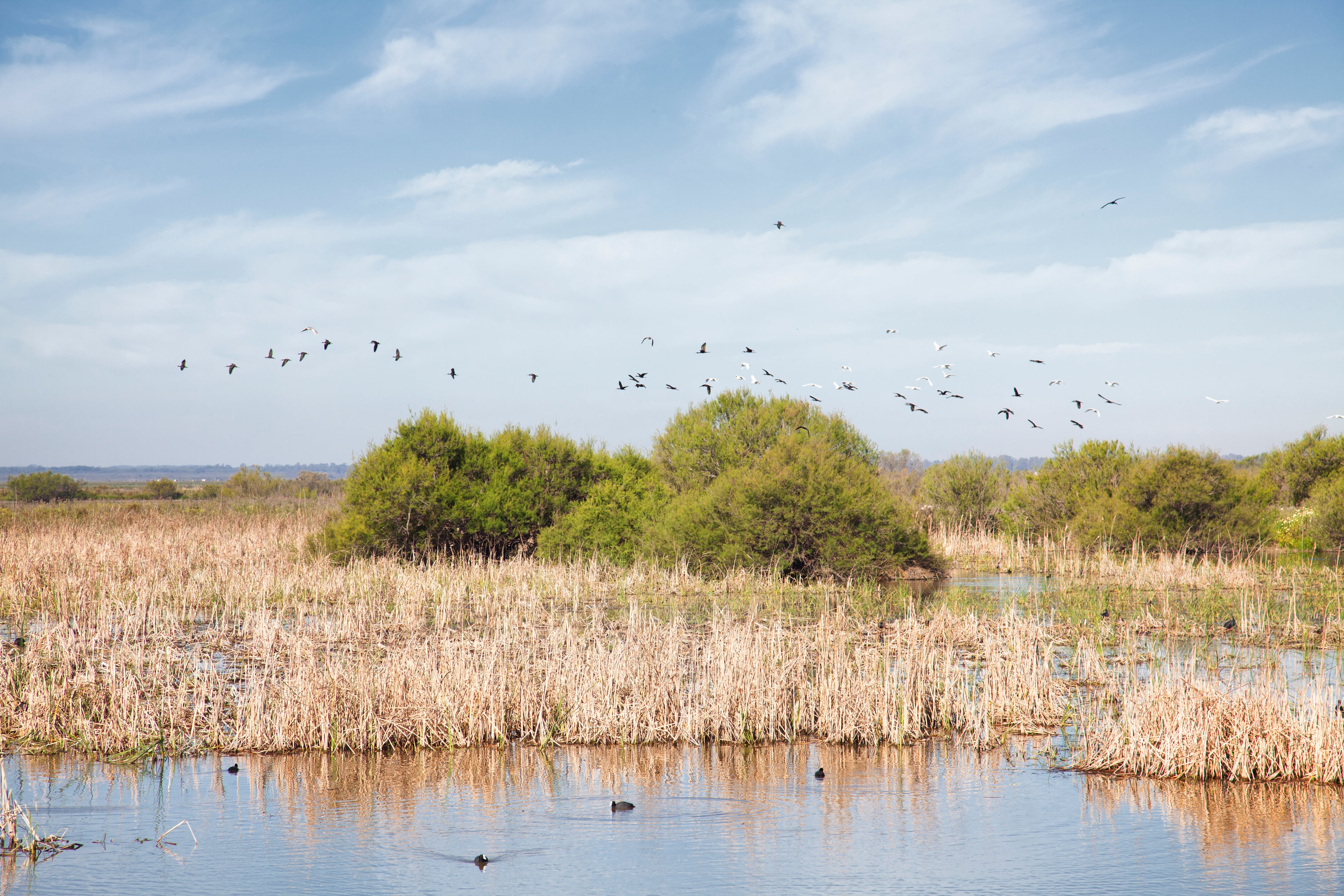 Parque Nacional de Doñana