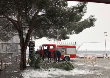 Los bomberos cortan las ramas en la zona de emergencias del Hospital