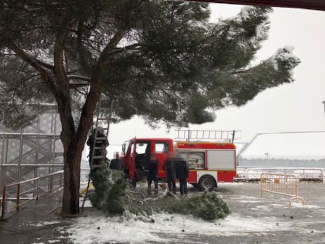 Los bomberos cortan las ramas en la zona de emergencias del Hospital