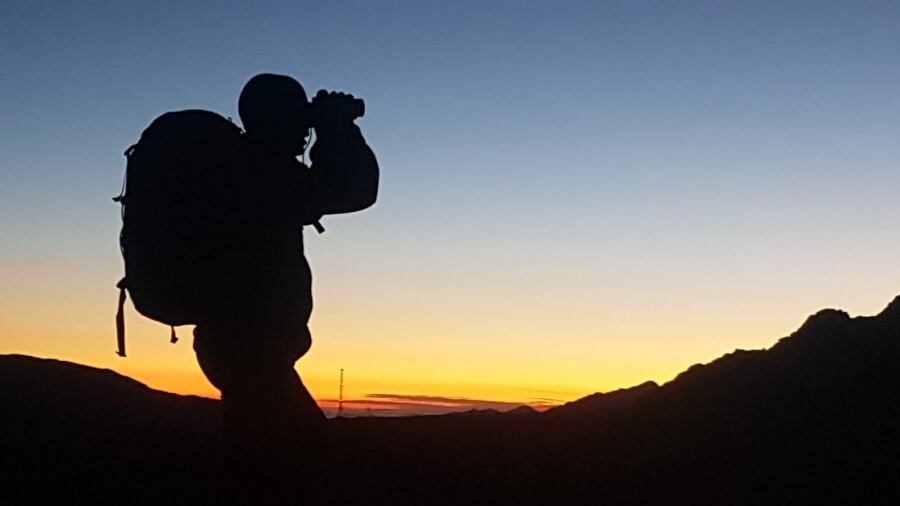 Un bander fent tasques de vigilància