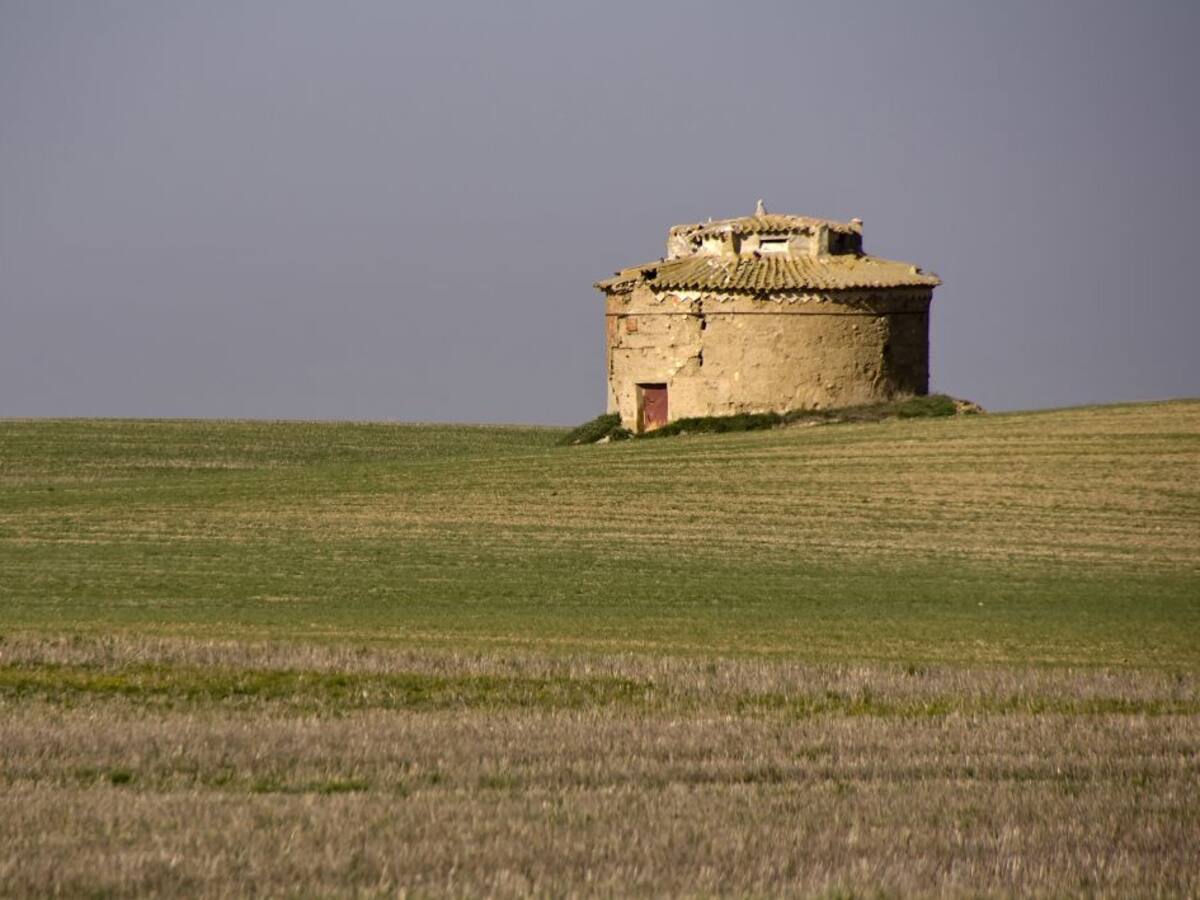 La Diputación de Palencia sigue apostando por los palomares tradicionales de la provincia