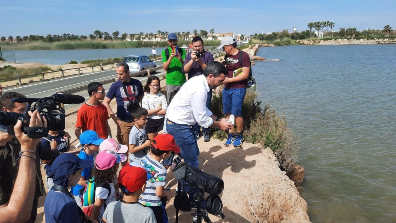 Día Mundial de las Aves Migratorias en Las Salinas de San Pedro del Pinatar