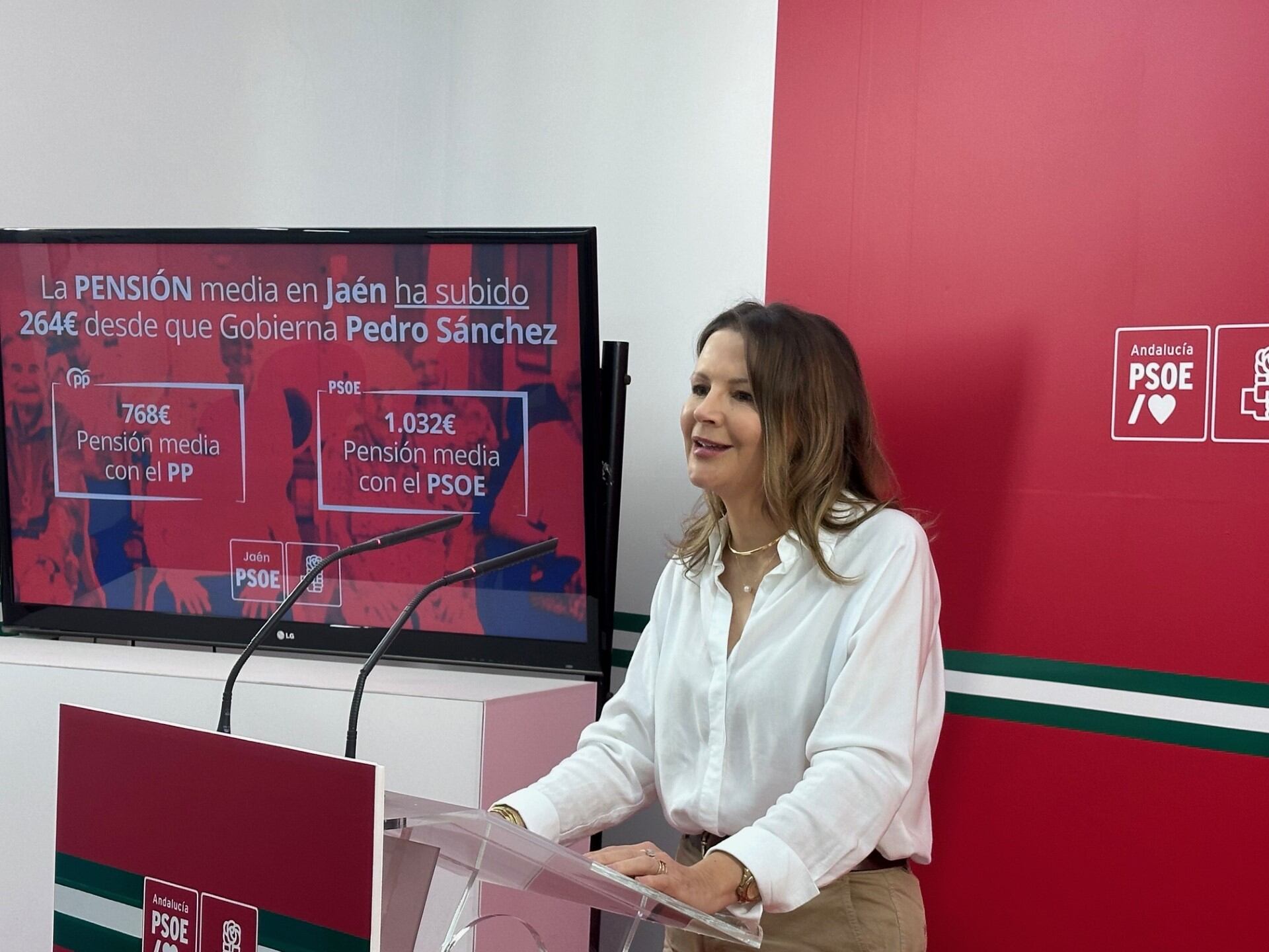 La portavoz del pacto de Toledo del PSOE en el Congreso, Ana Cobo, comparece antes los medios en la sede provincial del PSOE de Jaén.