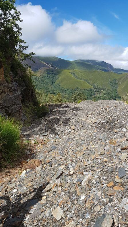 Estado de la pista forestal
