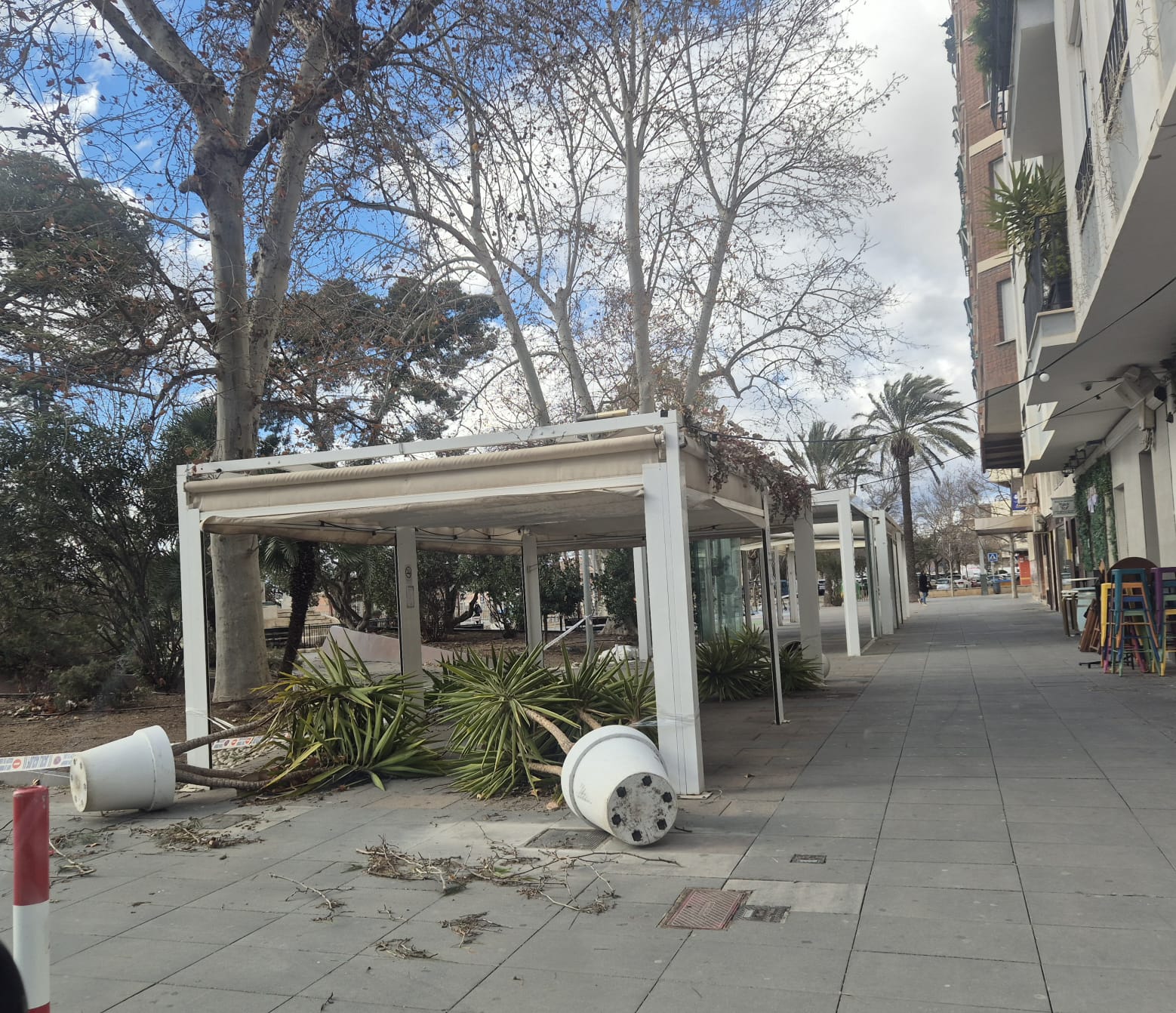 Daños del viento en Villena