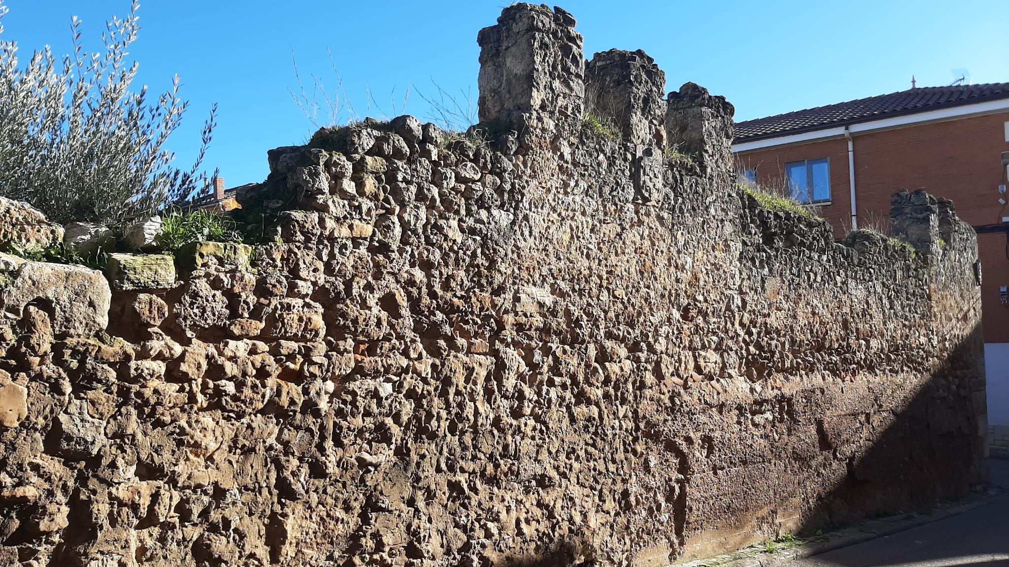 Restos de la edificación en la parcela  de &quot;El Hospitalón&quot; en Roa