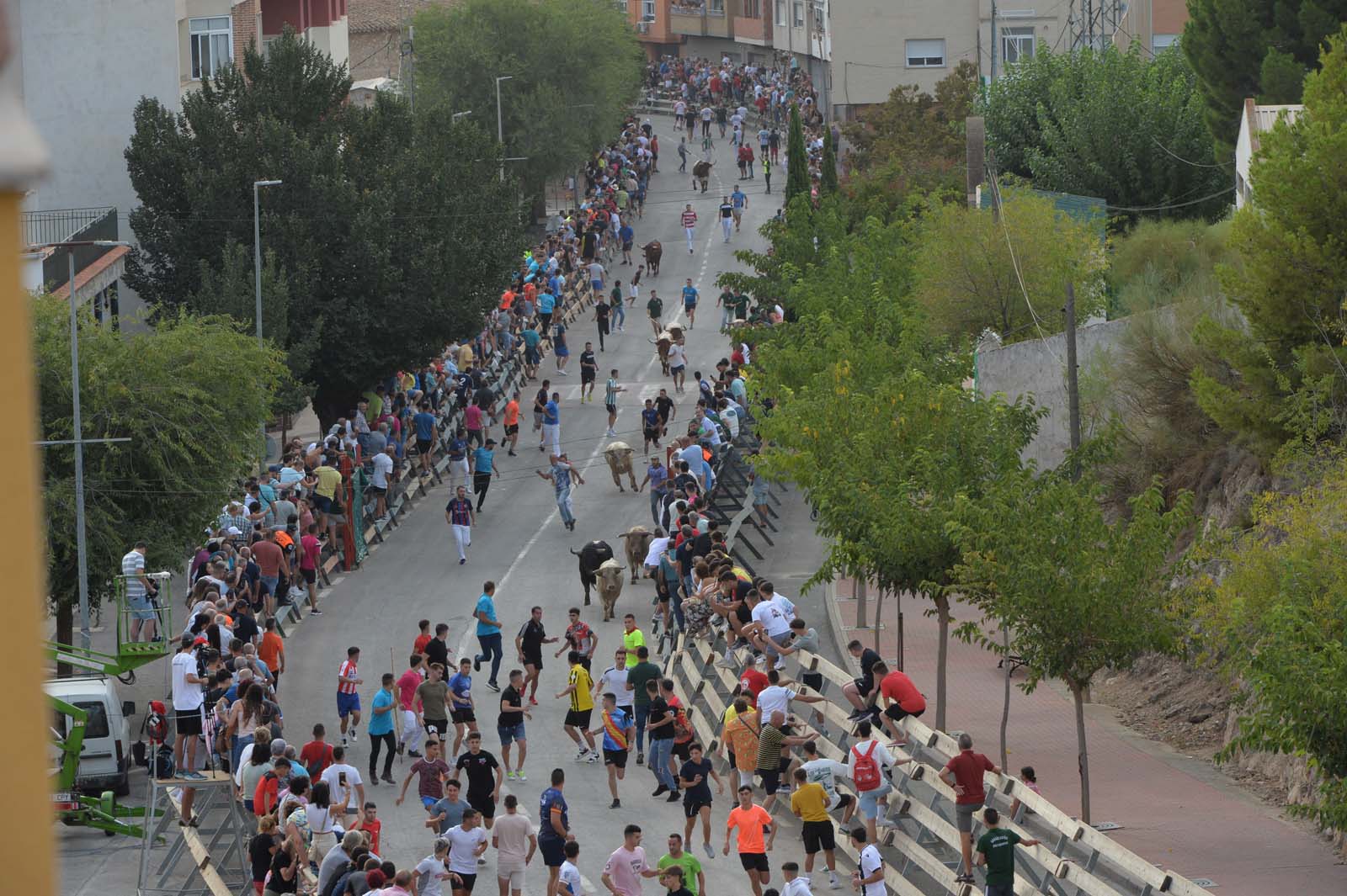 Instantes del segundo Encierro de las Fiestas de Calasparra