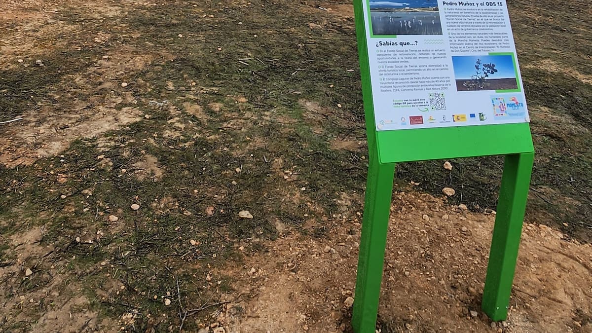 ¿Qué son esos marcos gigantes que han aparecido en La Mancha?