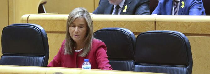 La ministra de Sanidad, Ana Mato, durante la sesión de control al Gobierno celebrada en el Senado.