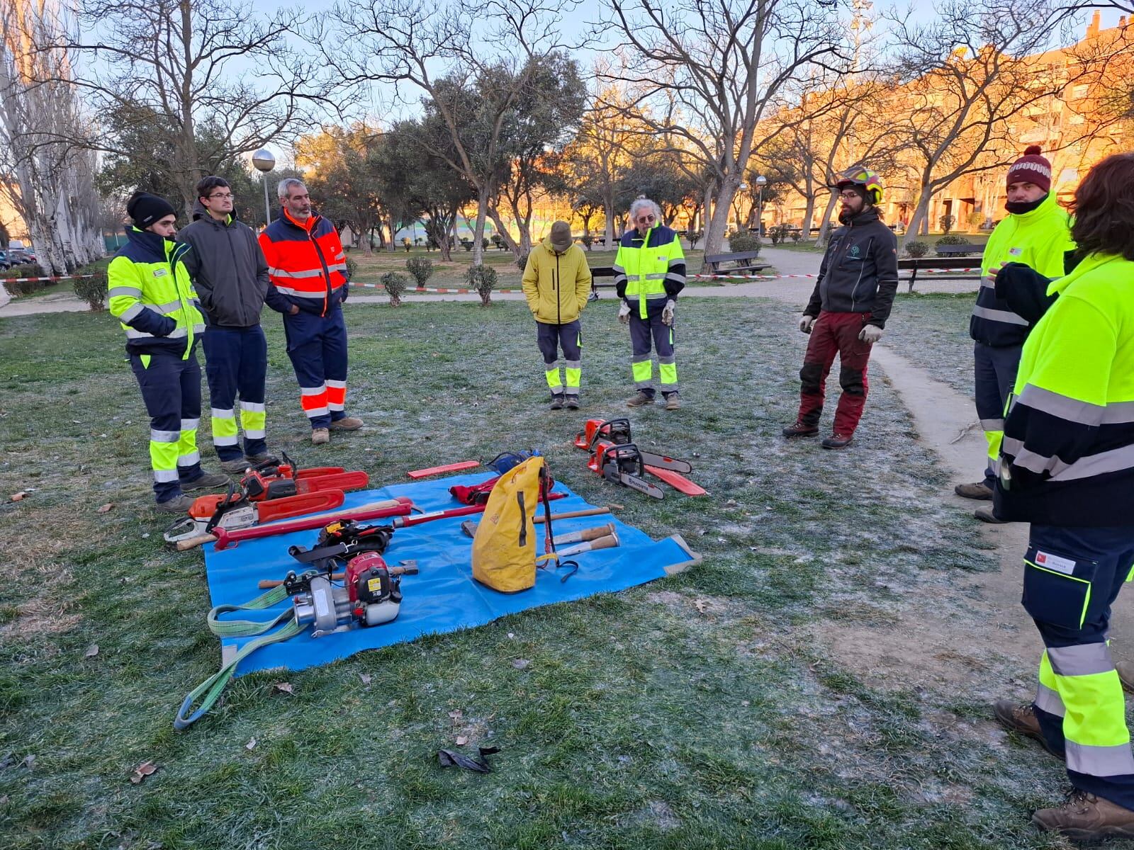 Formación de los trabajadores municipales en arbolado