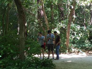 Un grupo de jóvenes cazando Pokémon en el Campo Grande