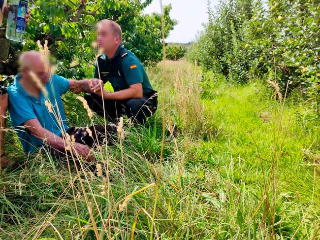 Localizan con vida al hombre de 77 años desparecido en Albelda de Iregua
