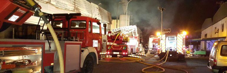 Los efectos del incendio en Andújar (Jaén) han sido devastadores y han afectado a tres empresas del polígono Estación.