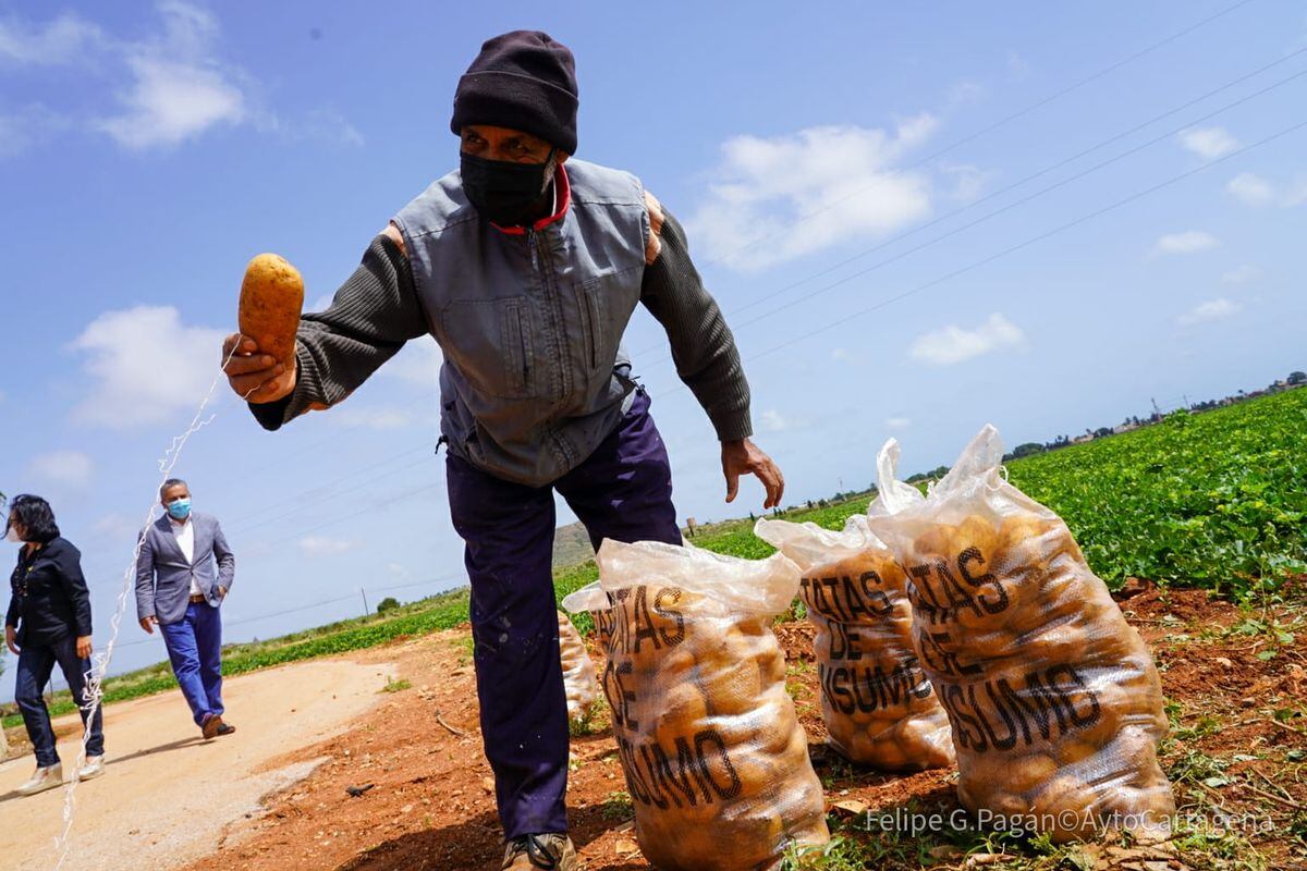 Encuentro con agricultores en una finca de El Algar sobre denominación de origen de la patata