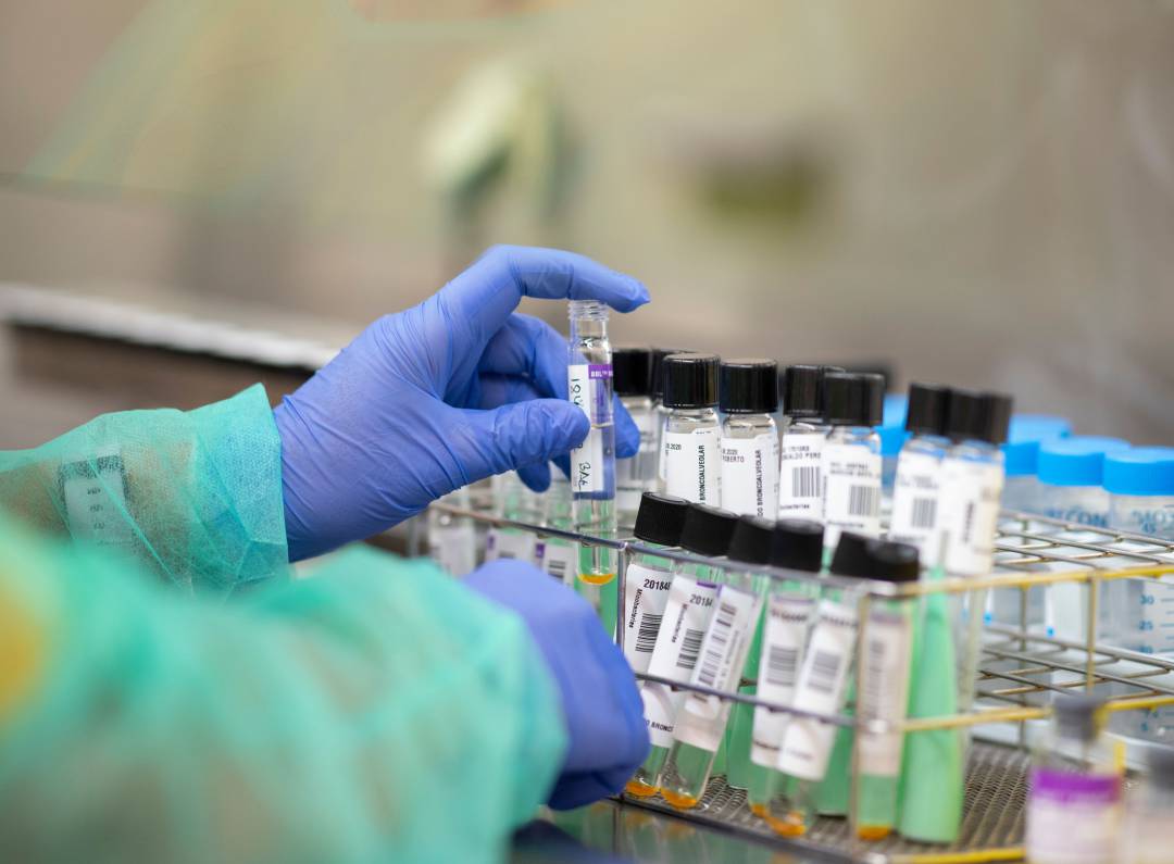 La Región suma 187 nuevos positivos