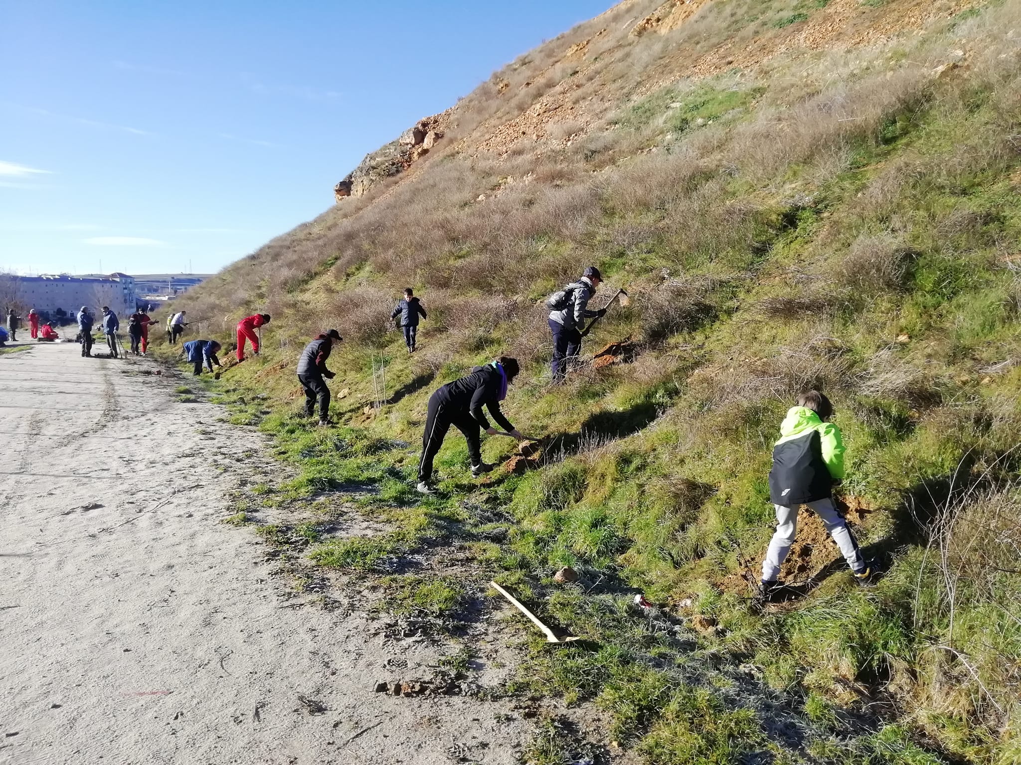 Primera plantación del año de Segovia por el Clima