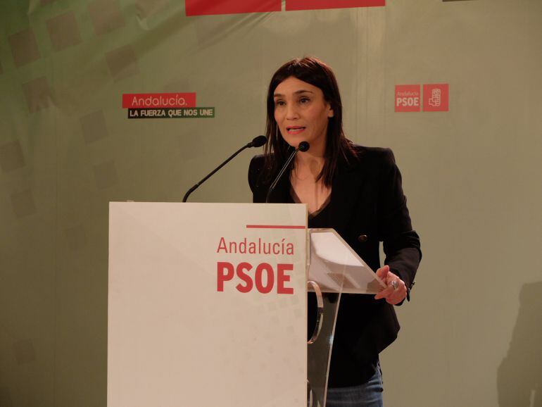 Rueda de prensa de la secretaria de Política Municipal del PSOE de Granada, Olga Manzano