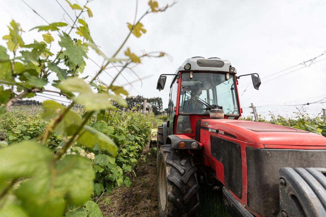 Los agricultores consideran perjudicial la quema de neumáticos 