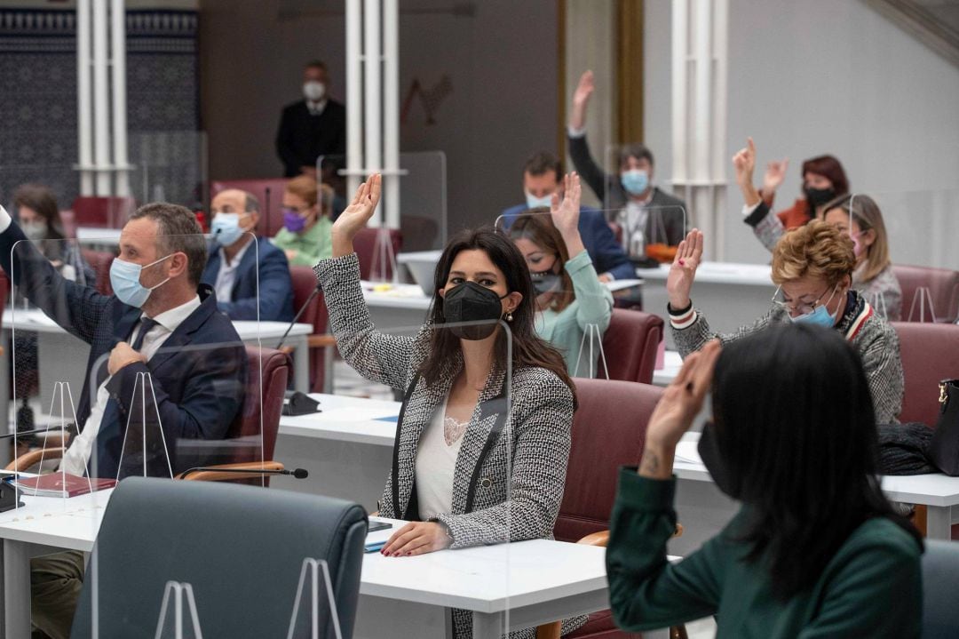 Votación en el pleno