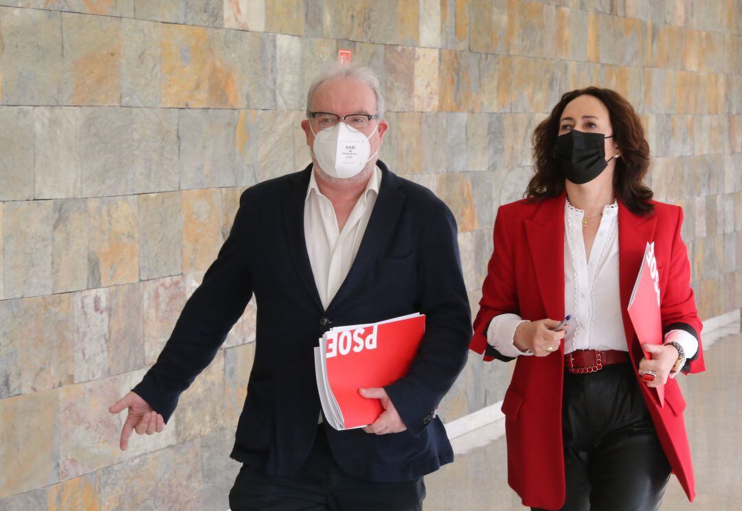 Procuradores socialistas