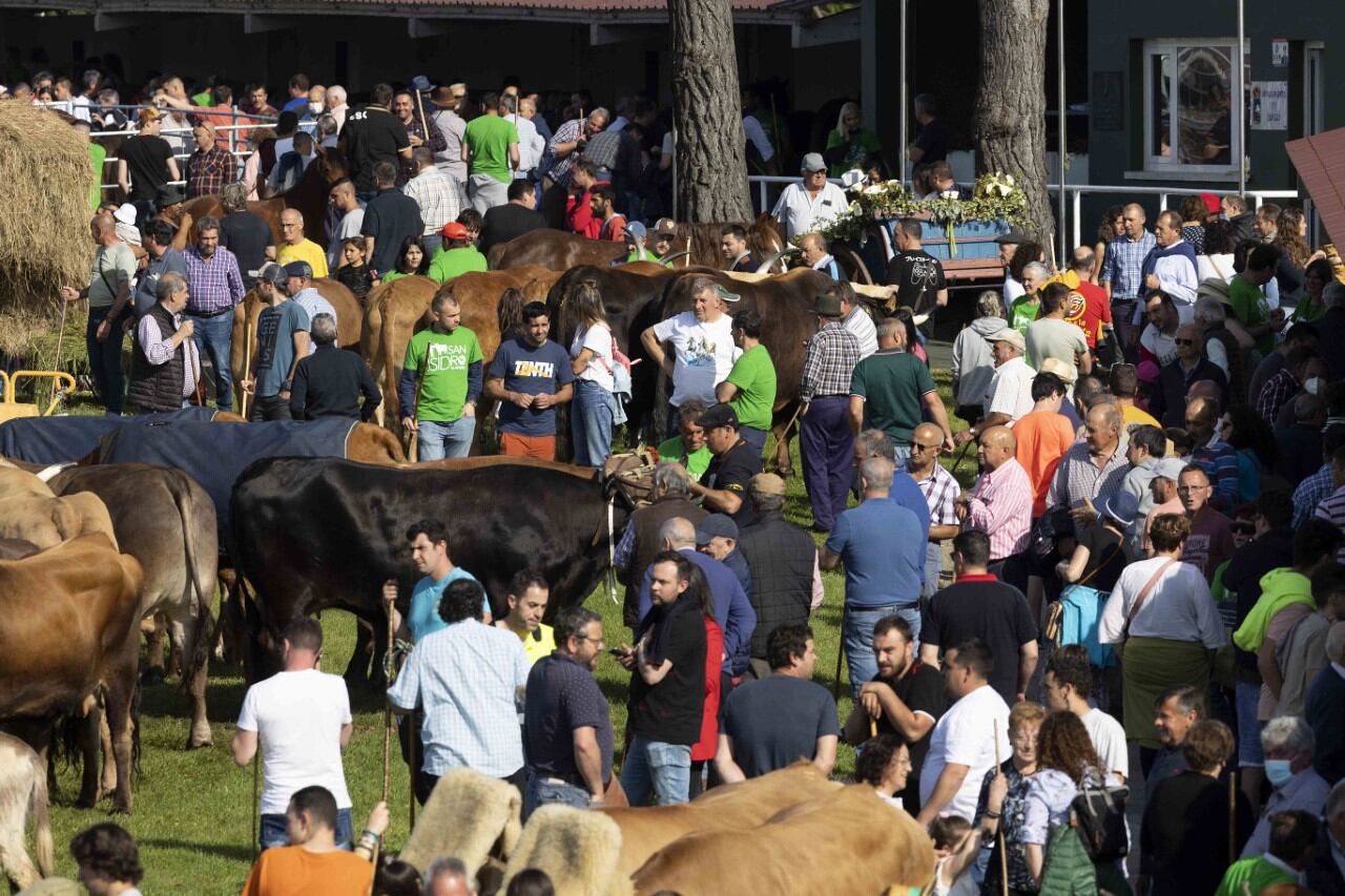 Feria de San Isidro en Llanera.