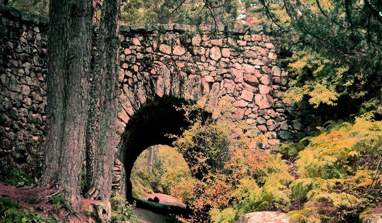 Un recorrido por los bonitos rincones de Cercedilla