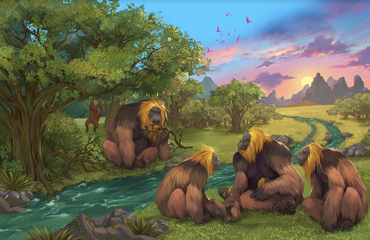 Una recreación del Gigantopithecus publicada en la revista &#039;Nature&#039;.