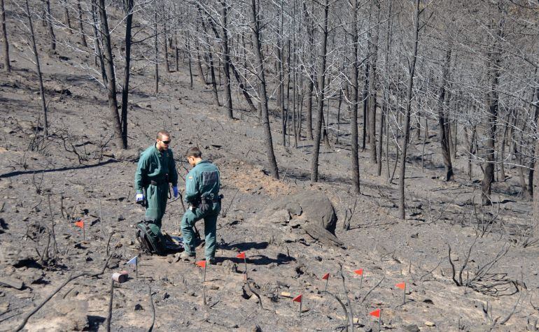 La Guardia Civil investiga las causas del incendio forestal de la Sierra de Gata