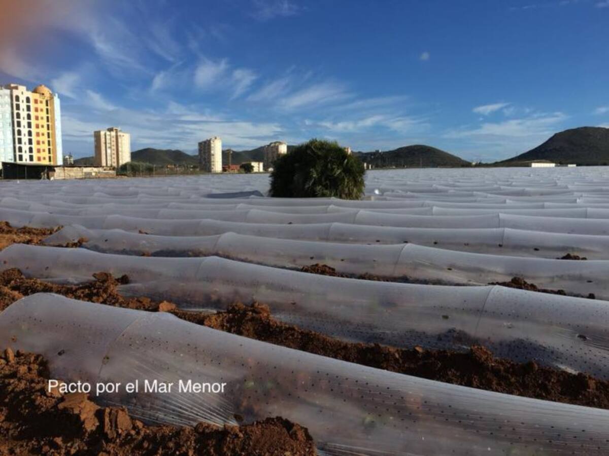 "Un Mar Menor de Plástico", según los vecinos