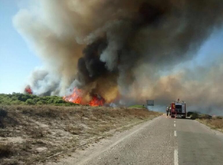 Nuevo incendio en El Saler