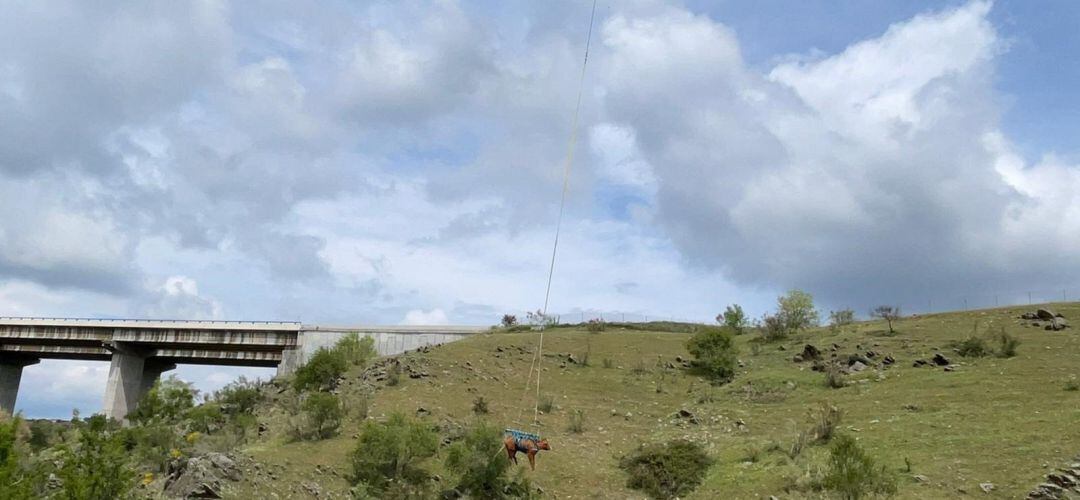 Se perdió el pasado sábado y fue encontrada este miércoles por la tarde en una zona de difícil acceso