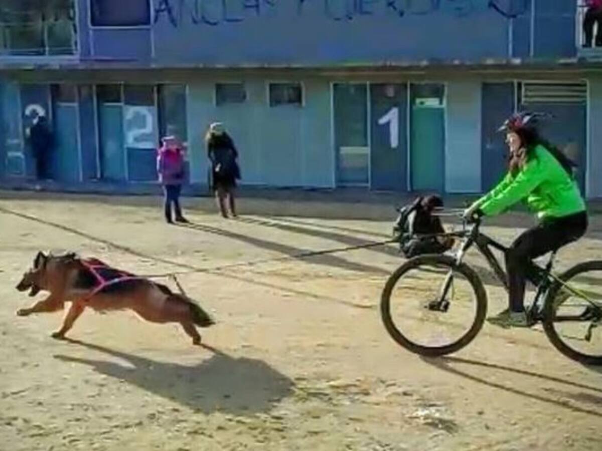 Un nuevo deporte llega a Tres Cantos: Canicross