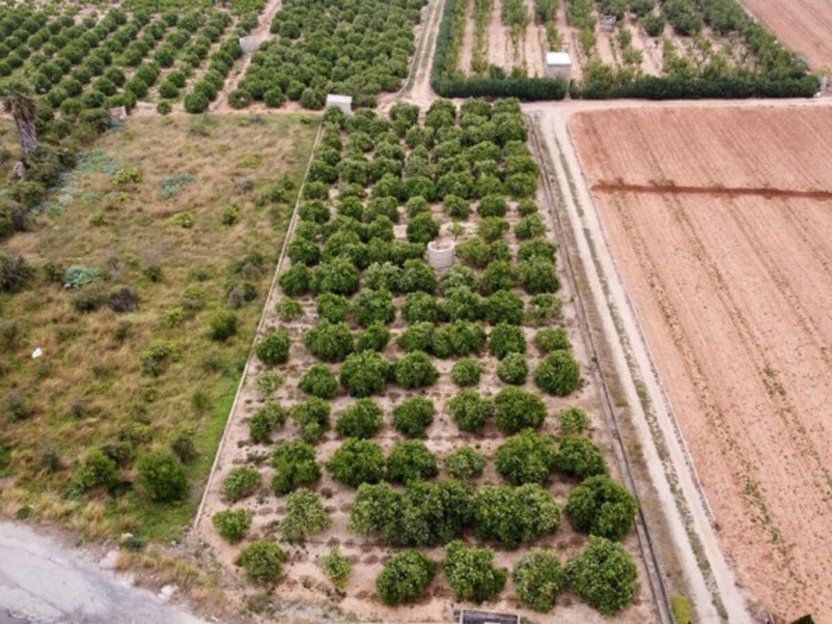 El CDR crea el primer mapa de cultivos abandonados con el uso de imágenes de satélite