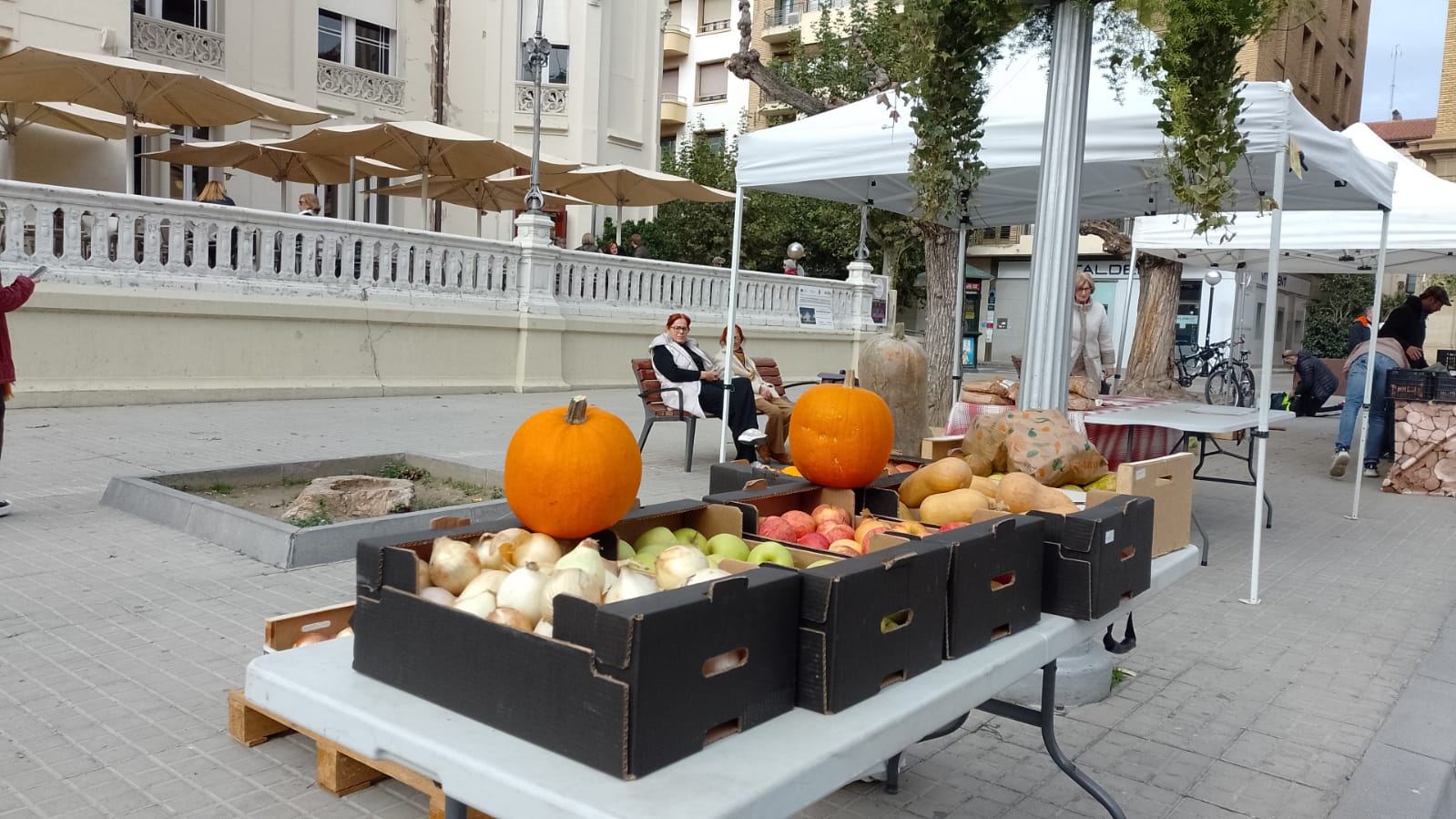 Donaciones dadas en el Mercado agroecológico de Huesca