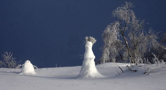 Muñecos de nieve en el alto de O Poio (Lugo).
